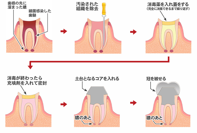 診療案内