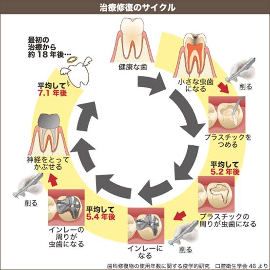 診療案内